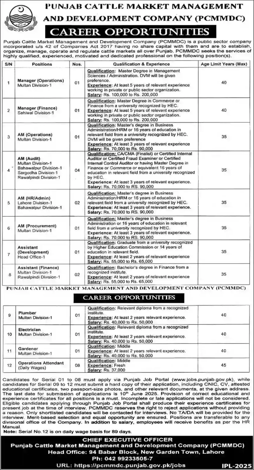 LASTEST PCMMDC Lahore Jobs 2025 Advertisement