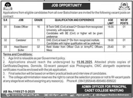 Cadet College Mastung CCM Jobs 2025 Advertisement
